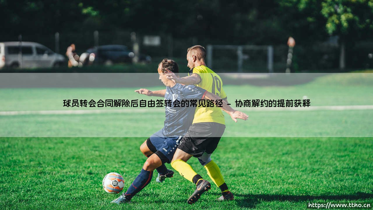 球员转会合同解除后自由签转会的常见路径|球门之间-第2张图片-天体号 球员转会合同解除后自由签转会的常见路径|球门之间-第2张图片-天体号