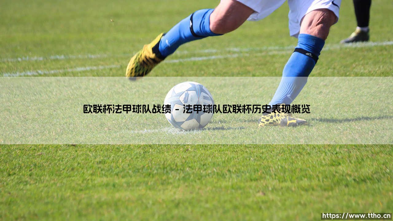 欧联杯法甲战绩深度解析：法甲球队的欧洲征程回顾与展望-第1张图片-天体号