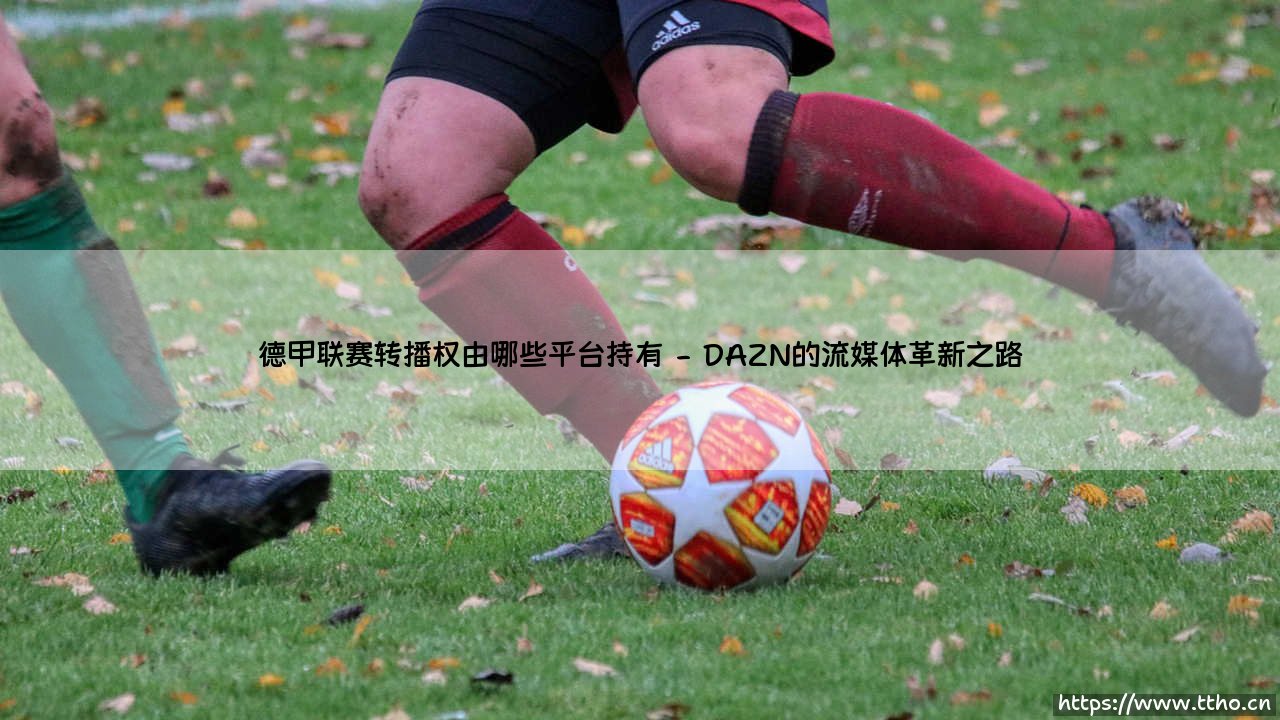 德甲联赛转播权由哪些平台持有?一文带你了解观赛渠道-第2张图片-天体号 德甲联赛转播权由哪些平台持有?一文带你了解观赛渠道-第2张图片-天体号