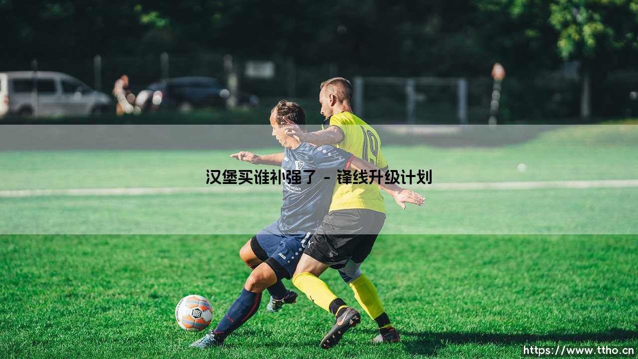 汉堡买谁补强了:德乙劲旅的补强战略与未来展望-第1张图片-天体号 汉堡买谁补强了:德乙劲旅的补强战略与未来展望-第1张图片-天体号