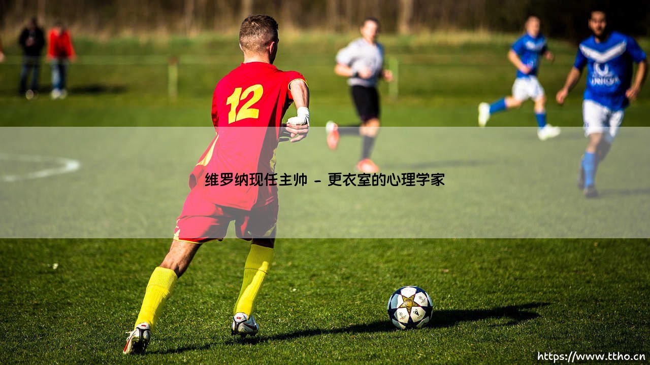 维罗纳现任主帅:在绿茵炼狱中雕琢未来的艺术家-第2张图片-天体号 维罗纳现任主帅:在绿茵炼狱中雕琢未来的艺术家-第2张图片-天体号