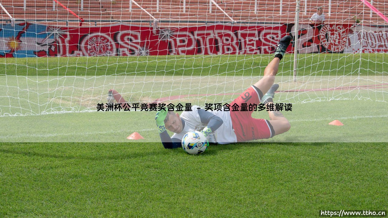 美洲杯公平竞赛奖含金量探析-第2张图片-天体号 美洲杯公平竞赛奖含金量探析-第2张图片-天体号