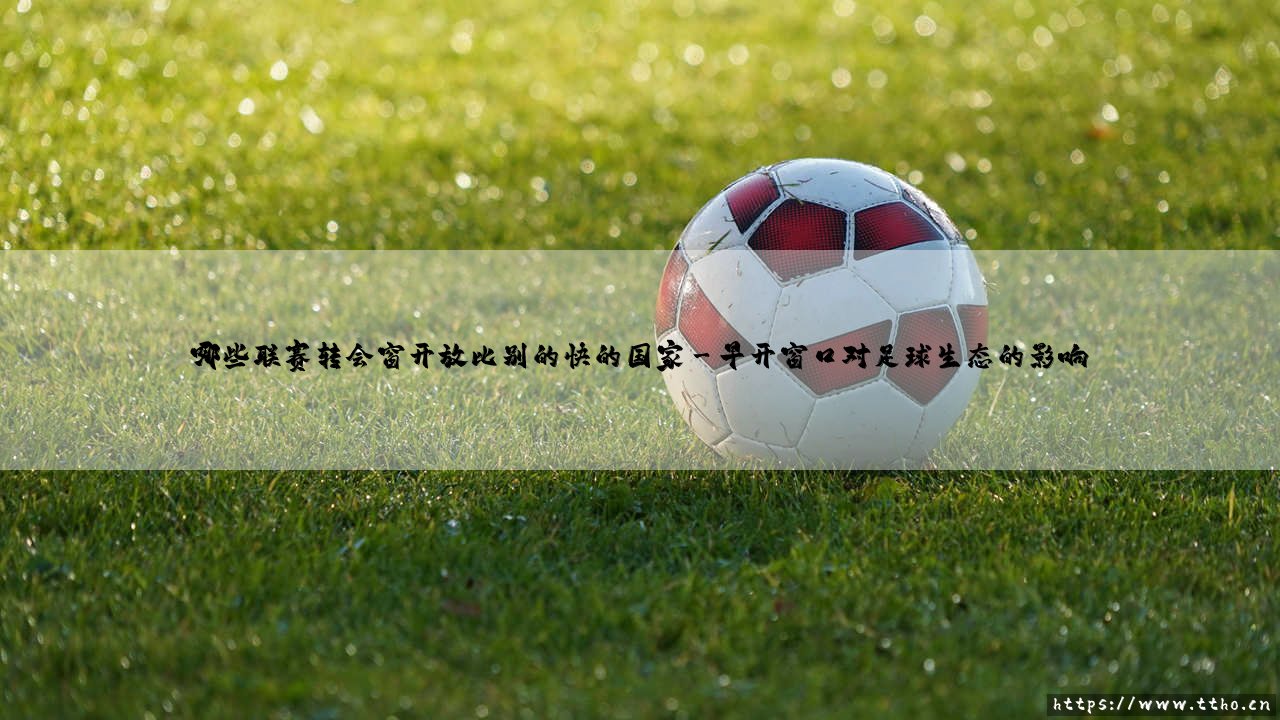 哪些联赛转会窗开放比别的快的国家「足坛哨声」-第3张图片-天体号 哪些联赛转会窗开放比别的快的国家「足坛哨声」-第3张图片-天体号
