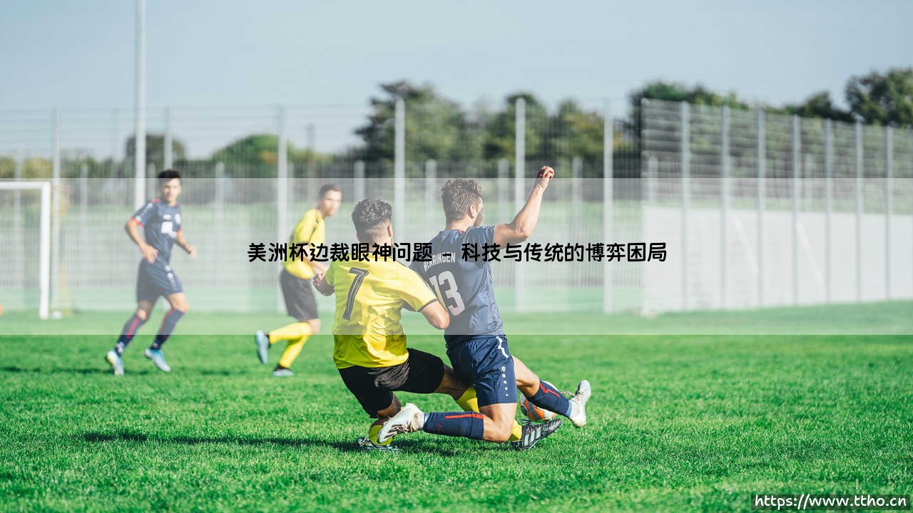 美洲杯边裁眼神问题?「赛场上的鹰眼」为何失准!-第2张图片-天体号 美洲杯边裁眼神问题?「赛场上的鹰眼」为何失准!-第2张图片-天体号