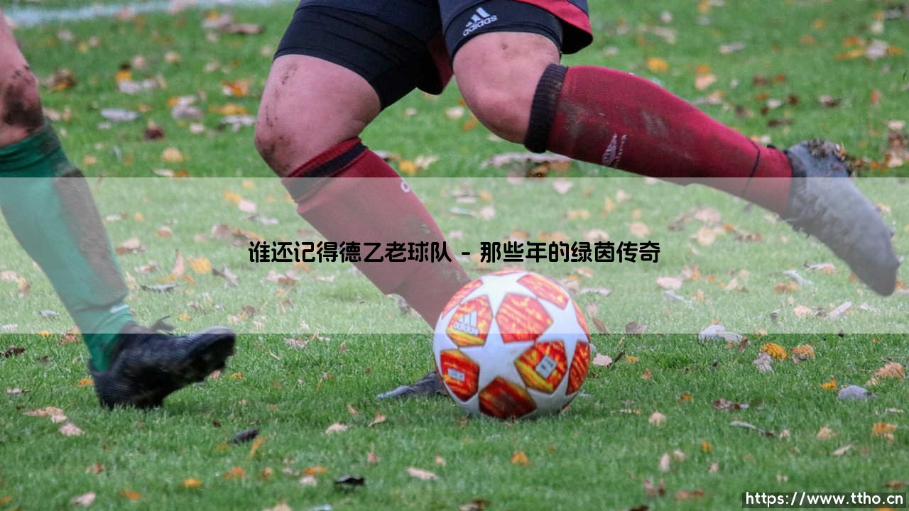谁还记得德乙老球队「Goal+」-第1张图片-天体号 谁还记得德乙老球队「Goal+」-第1张图片-天体号