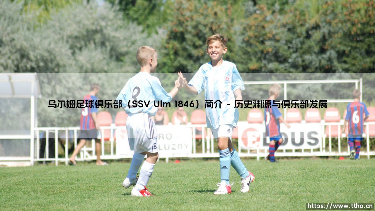 乌尔姆足球俱乐部(SSV Ulm 1846)简介(足球全知道)-第1张图片-天体号 乌尔姆足球俱乐部(SSV Ulm 1846)简介(足球全知道)-第1张图片-天体号