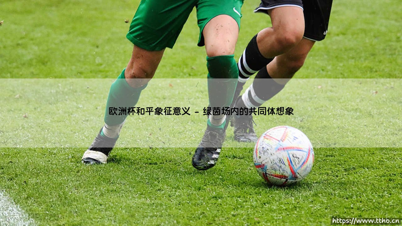 欧洲杯:绿茵场上的和平象征-第2张图片-天体号 欧洲杯:绿茵场上的和平象征-第2张图片-天体号