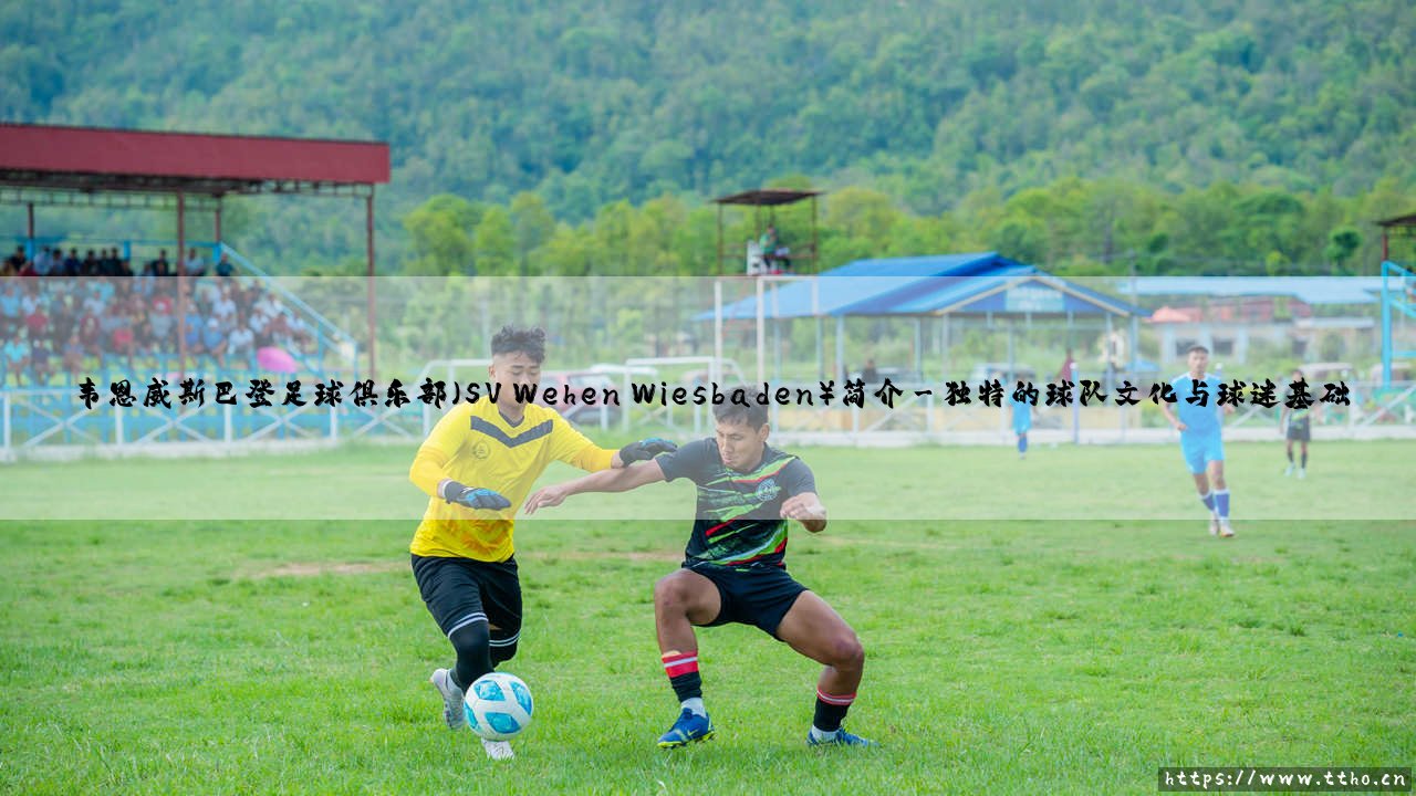 SV Wehen Wiesbaden:一支德乙新军的足球传奇,你了解多少?- 韦恩威斯巴登足球俱乐部的崛起之路-第3张图片-天体号 SV Wehen Wiesbaden:一支德乙新军的足球传奇,你了解多少?- 韦恩威斯巴登足球俱乐部的崛起之路-第3张图片-天体号