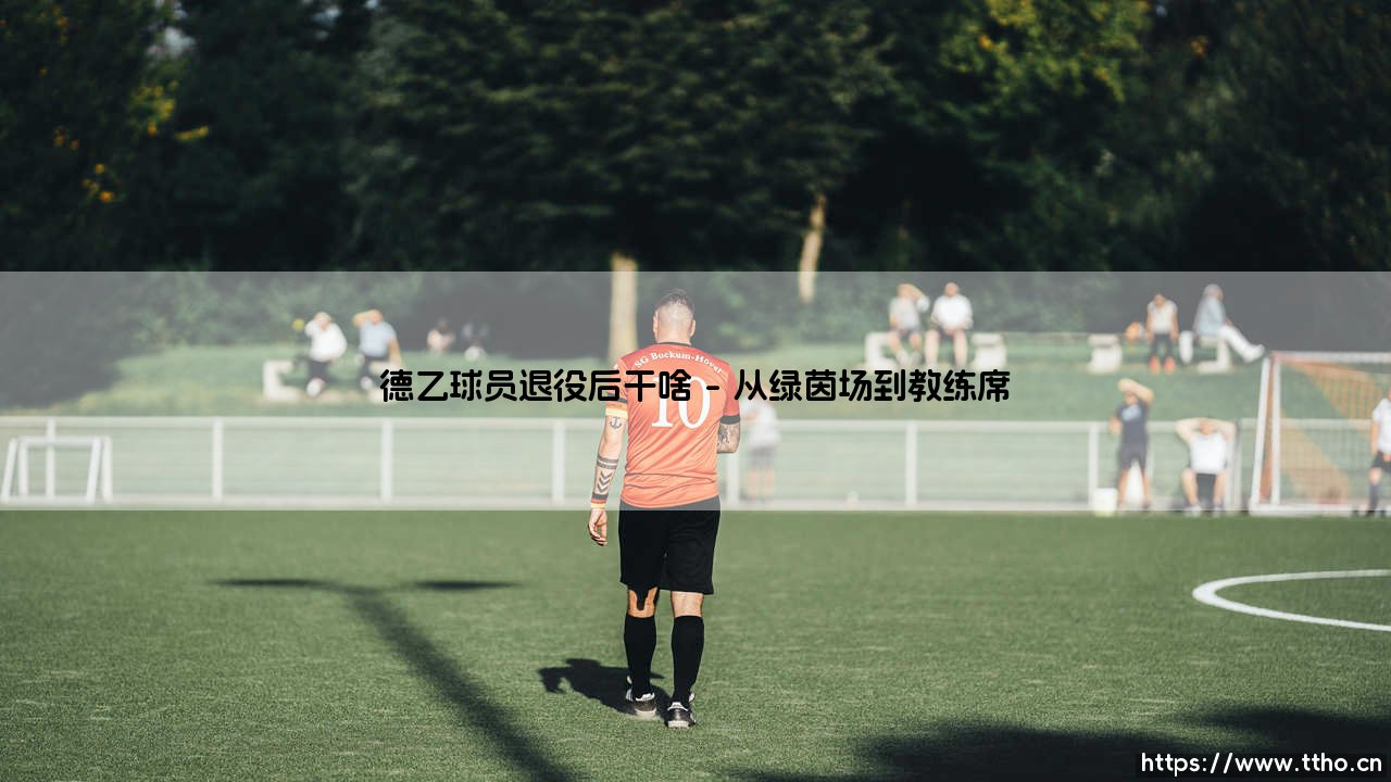 德乙球员退役后的多元人生路径探索-第1张图片-天体号 德乙球员退役后的多元人生路径探索-第1张图片-天体号