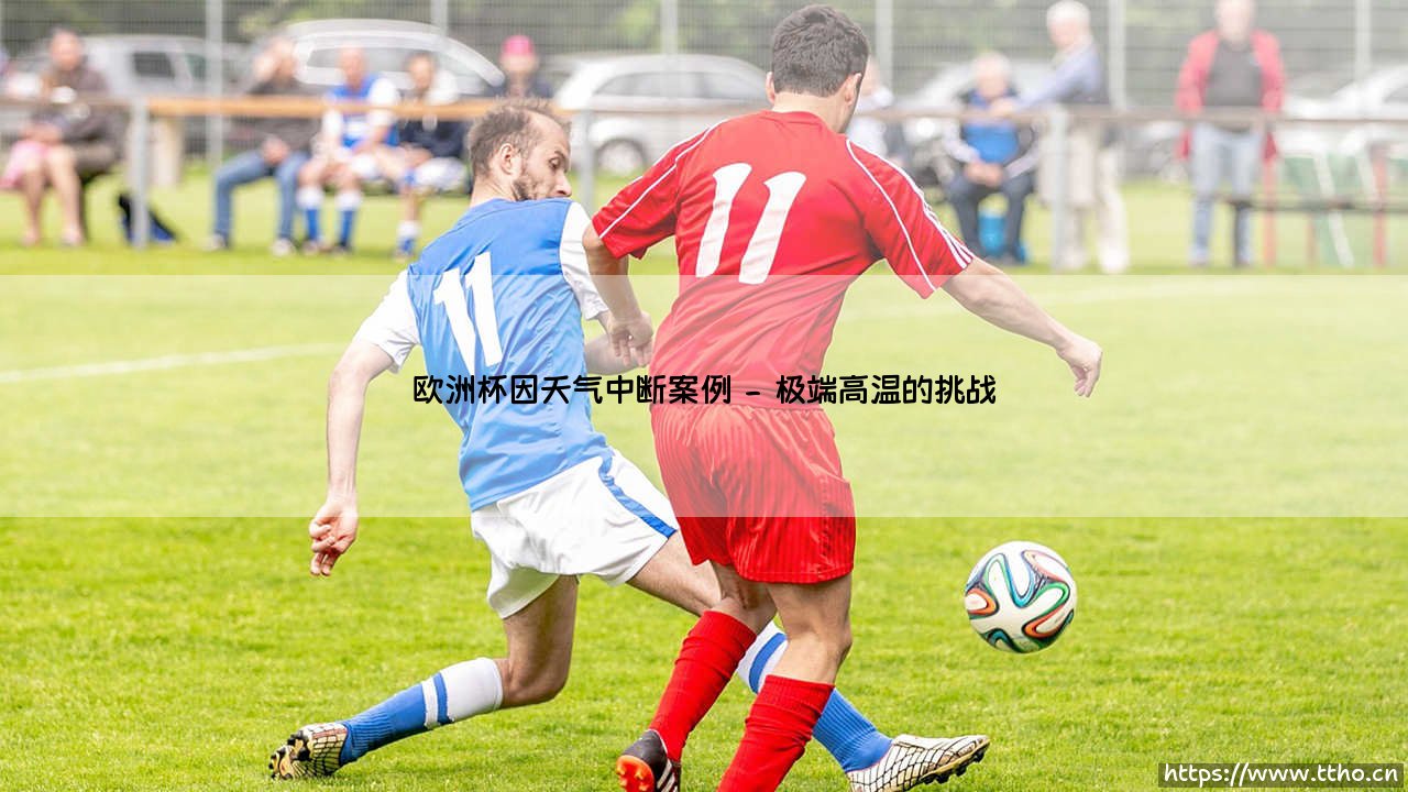 欧洲杯因天气中断案例：绿茵场上的风云突变-第2张图片-天体号