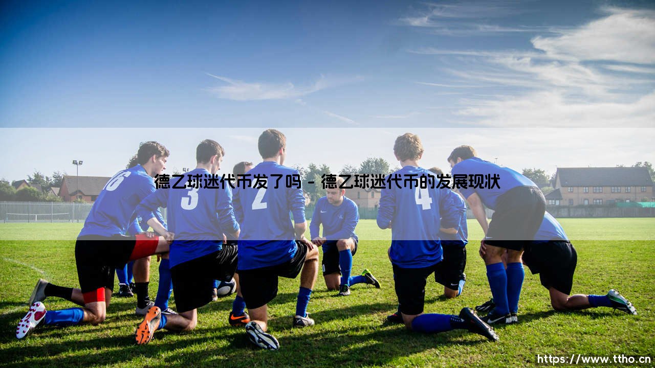 德乙球迷代币发了吗？探索德国足球的区块链革命-第1张图片-天体号