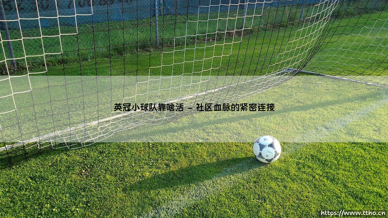 英冠小球队靠啥活:绿茵场外的生存智慧-第2张图片-天体号 英冠小球队靠啥活:绿茵场外的生存智慧-第2张图片-天体号