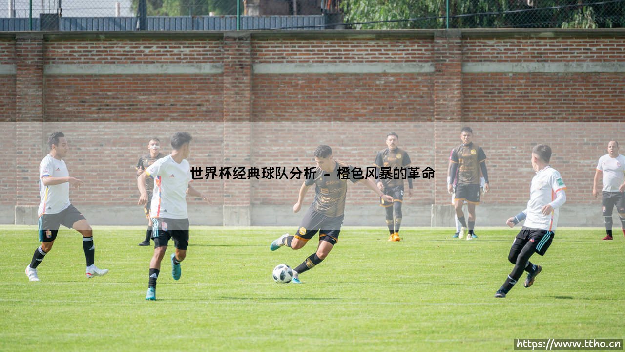 世界杯经典球队分析:哪些传奇队伍,定义了足球的巅峰对决?-第2张图片-天体号 世界杯经典球队分析:哪些传奇队伍,定义了足球的巅峰对决?-第2张图片-天体号