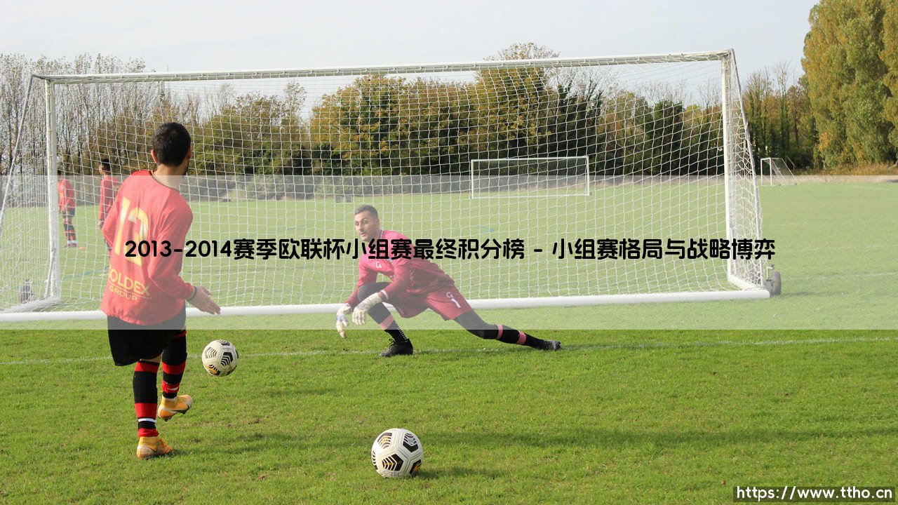 2013-2014赛季欧联杯小组赛最终积分榜_足球第一线-第1张图片-天体号