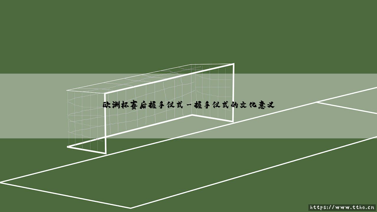 欧洲杯赛后握手仪式_足球早晚报-第3张图片-天体号 欧洲杯赛后握手仪式_足球早晚报-第3张图片-天体号
