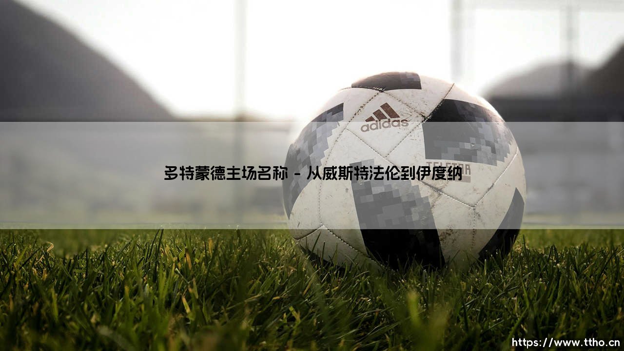 多特蒙德主场名称：西格纳伊度纳公园球场的前世今生-第1张图片-天体号