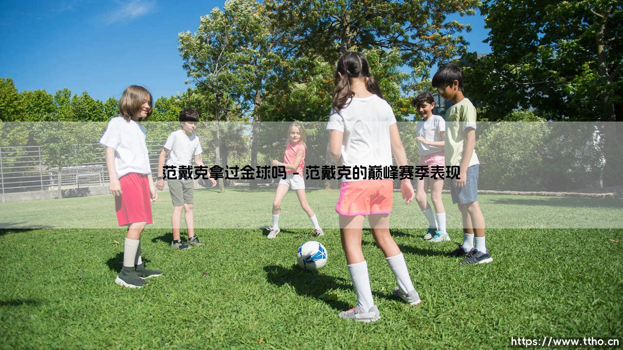 范戴克拿过金球吗——每日足球-第1张图片-天体号 范戴克拿过金球吗——每日足球-第1张图片-天体号