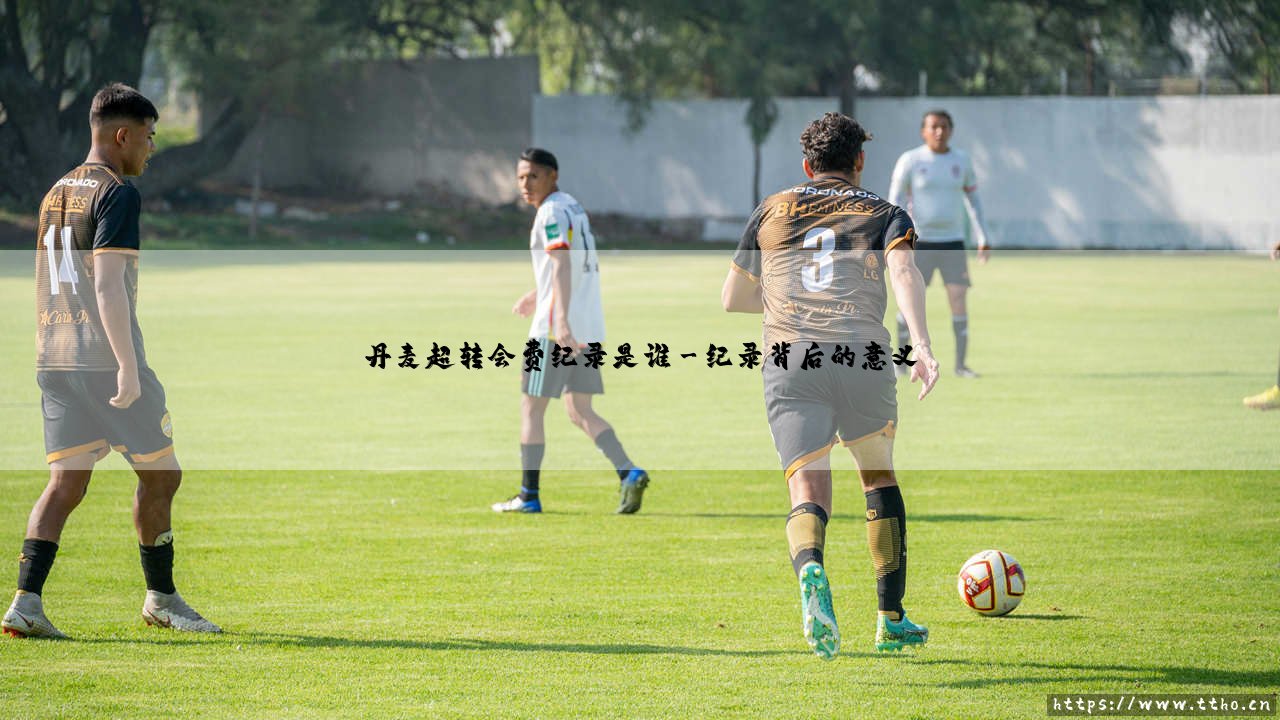 丹麦超转会费纪录是谁|体坛足球家-第3张图片-天体号 丹麦超转会费纪录是谁|体坛足球家-第3张图片-天体号