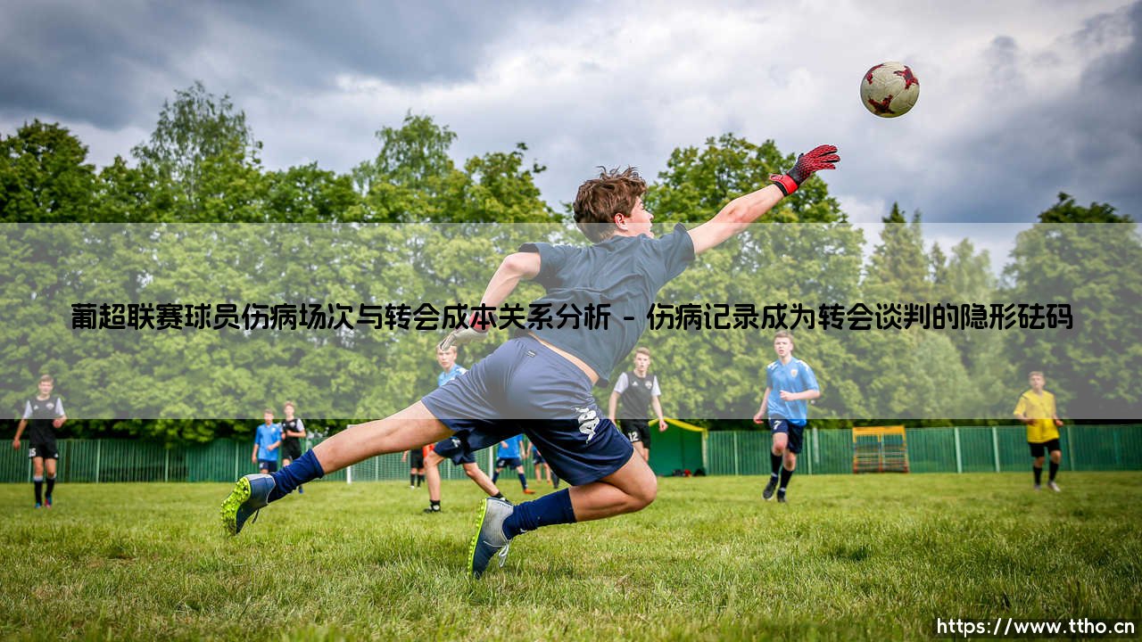 葡超联赛球员伤病:伤病场次如何影响转会成本?—— 深入剖析「伤病历史」与转会市场的隐秘关联-第1张图片-天体号 葡超联赛球员伤病:伤病场次如何影响转会成本?—— 深入剖析「伤病历史」与转会市场的隐秘关联-第1张图片-天体号