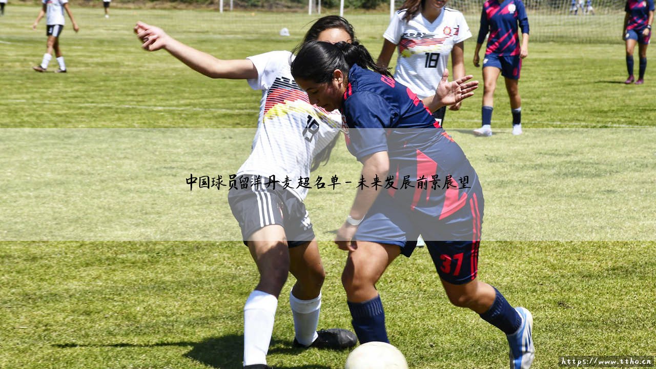 中国球员留洋丹麦超名单解析：北欧赛场的中国面孔全景图-第4张图片-天体号