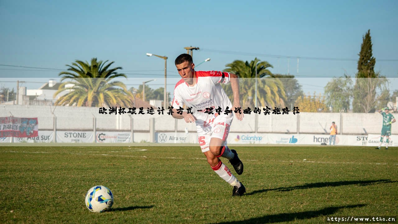 欧洲杯碳足迹计算方式:绿茵盛宴的环保账单如何核算?「欧洲杯碳排放的精确测算方法论」-第3张图片-天体号 欧洲杯碳足迹计算方式:绿茵盛宴的环保账单如何核算?「欧洲杯碳排放的精确测算方法论」-第3张图片-天体号