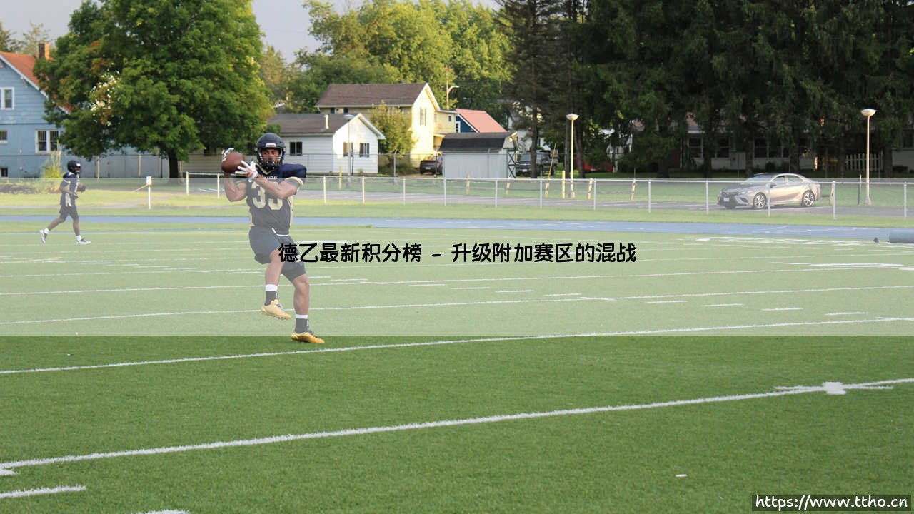 德乙最新积分榜：谁将锁定升级名额？「冲刺阶段」全景分析-第2张图片-天体号