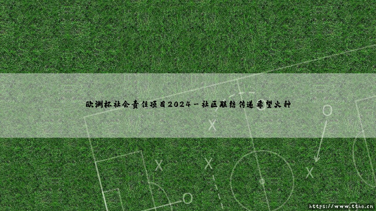 欧洲杯社会责任项目2024:绿茵场外的温情接力-第3张图片-天体号 欧洲杯社会责任项目2024:绿茵场外的温情接力-第3张图片-天体号