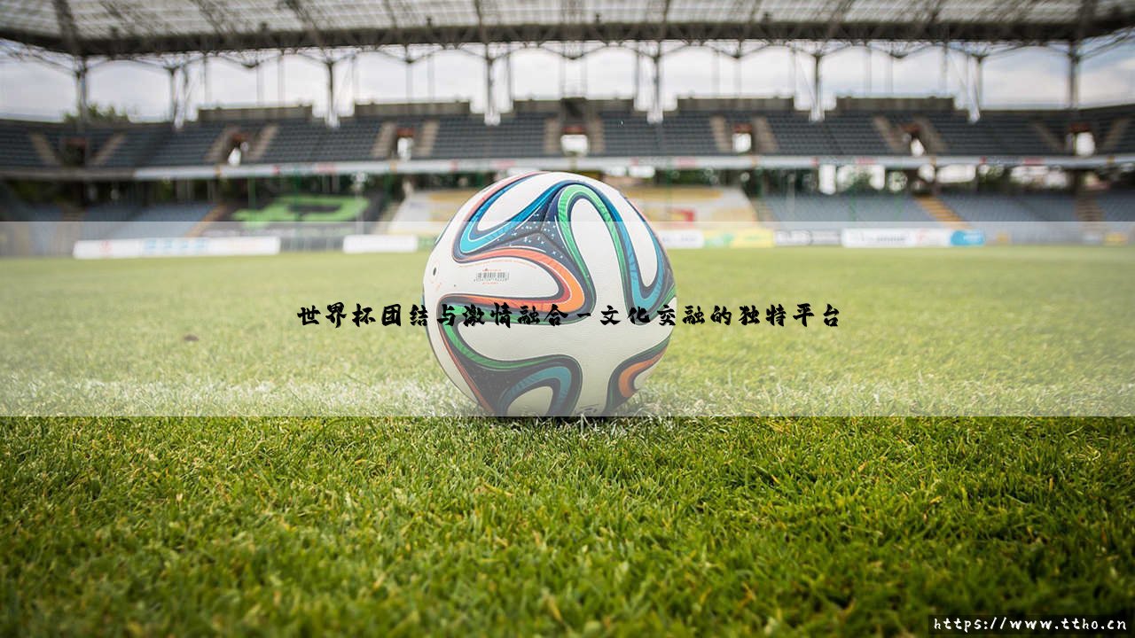世界杯团结与激情融合：跨越国界的体育盛典，团结与激情融合的全球狂欢-第3张图片-天体号