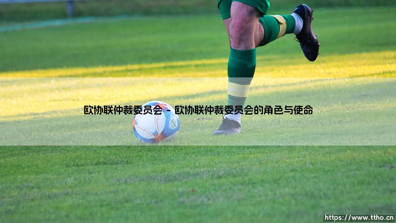 欧协联仲裁委员会「Goal+」-第1张图片-天体号 欧协联仲裁委员会「Goal+」-第1张图片-天体号