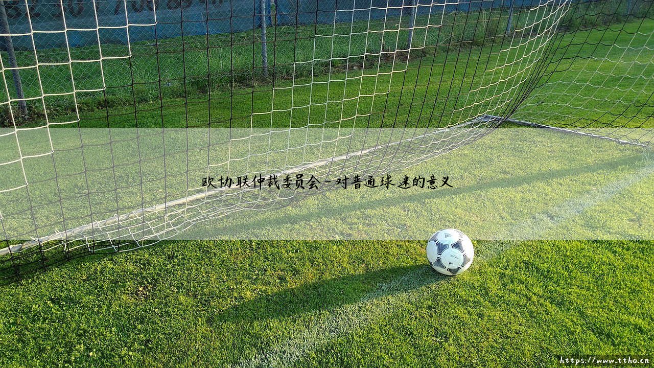 欧协联仲裁委员会「Goal+」-第4张图片-天体号 欧协联仲裁委员会「Goal+」-第4张图片-天体号