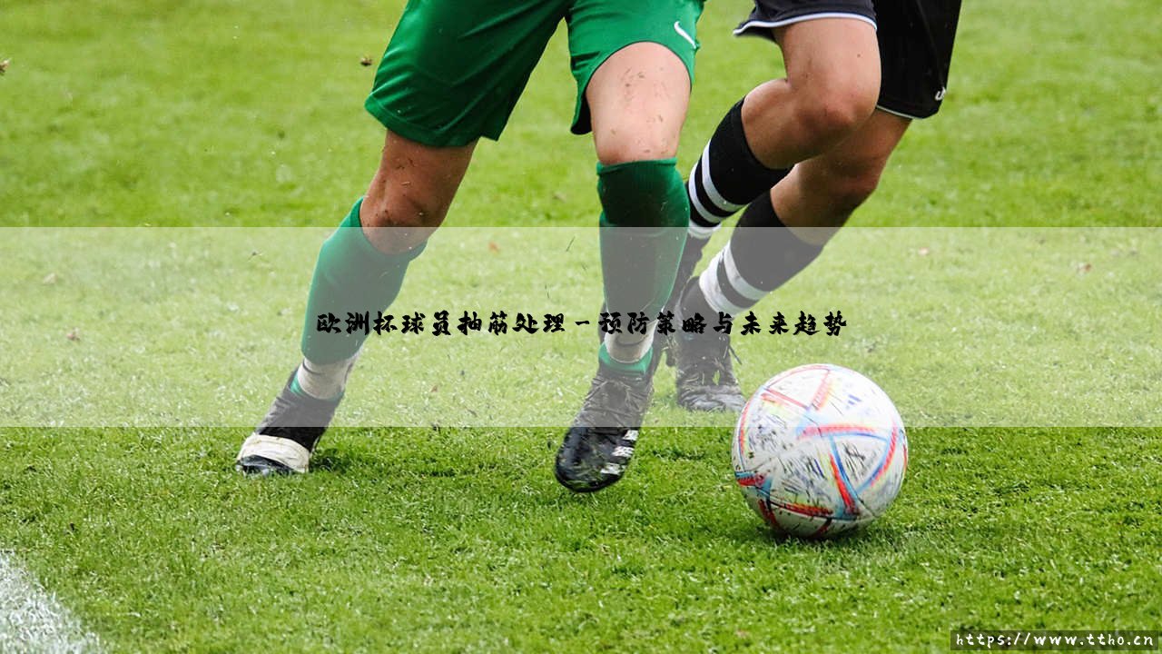 欧洲杯球员抽筋处理【远方的球门】-第3张图片-天体号 欧洲杯球员抽筋处理【远方的球门】-第3张图片-天体号