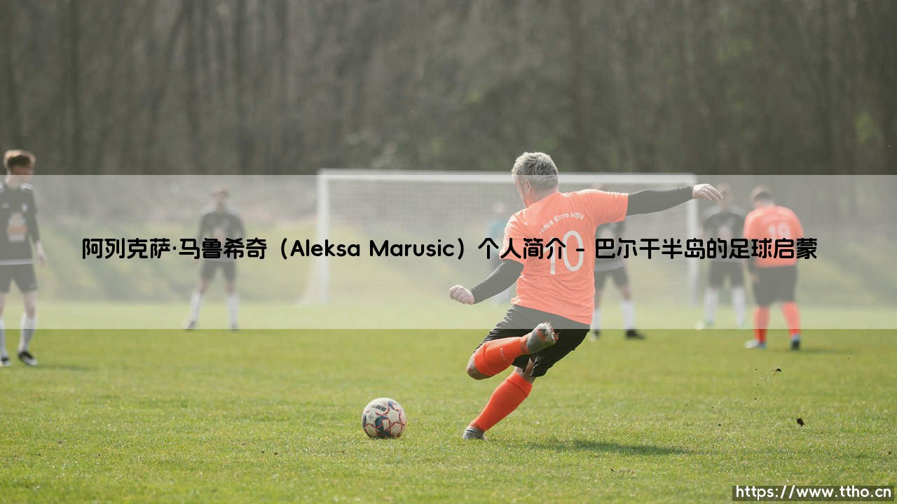 阿列克萨·马鲁希奇：从平凡后卫到意甲磐石的阿列克萨·马鲁希奇传奇之路-第1张图片-天体号