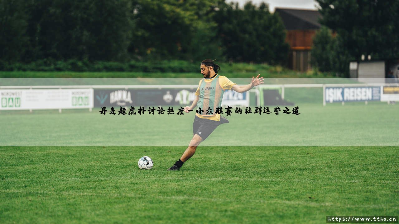 丹麦超虎扑讨论热度:小众联赛如何赢得中国球迷的心-第3张图片-天体号 丹麦超虎扑讨论热度:小众联赛如何赢得中国球迷的心-第3张图片-天体号