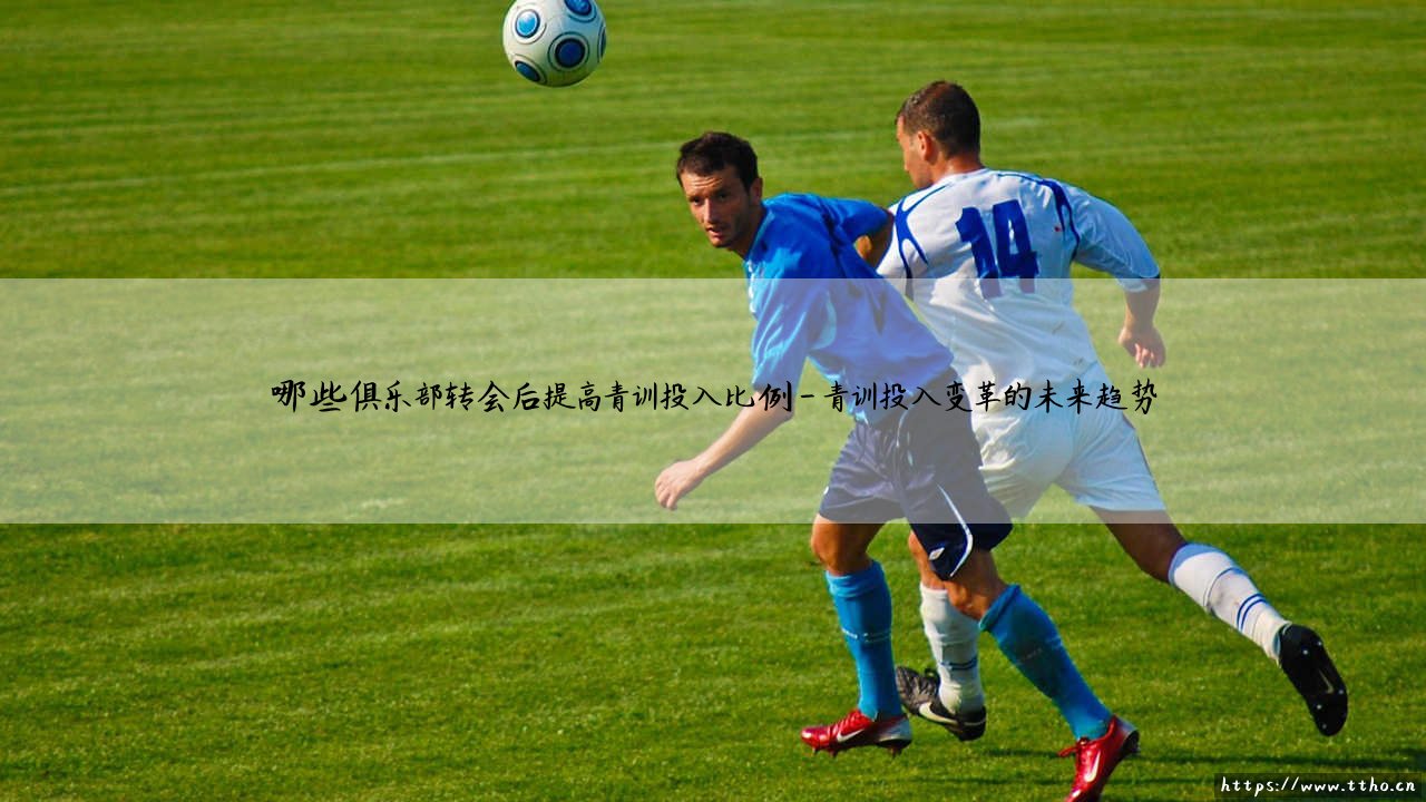 青训投入新纪元:哪些俱乐部转会后提高青训投入比例,转会市场背后的青训战略转型-第4张图片-天体号 青训投入新纪元:哪些俱乐部转会后提高青训投入比例,转会市场背后的青训战略转型-第4张图片-天体号