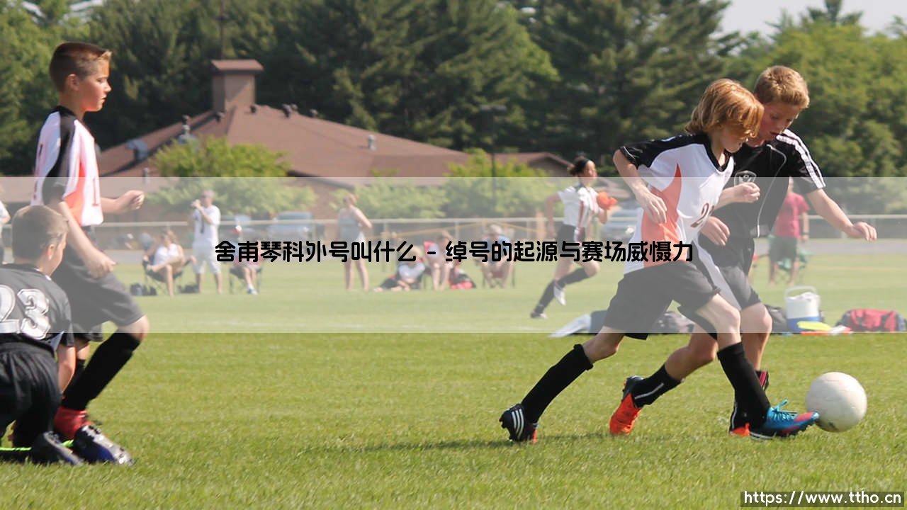 舍甫琴科外号叫什么:探寻“核弹头”的传奇故事-第1张图片-天体号 舍甫琴科外号叫什么:探寻“核弹头”的传奇故事-第1张图片-天体号