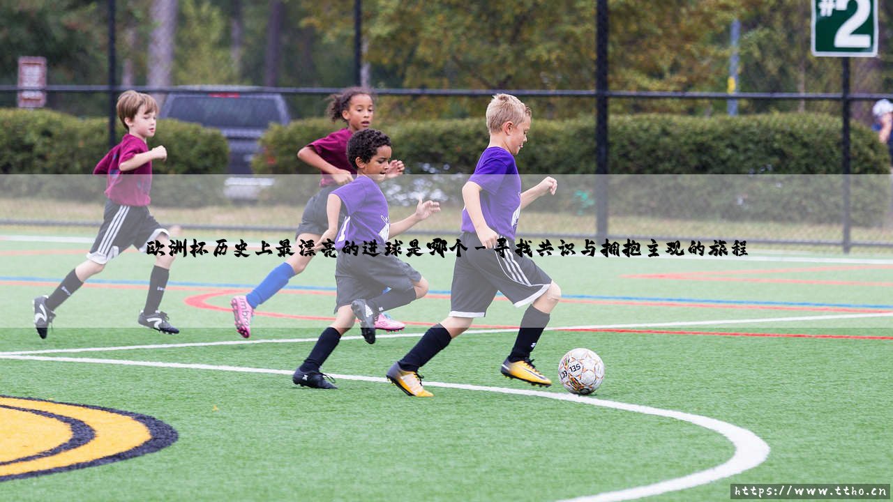 欧洲杯历史上最漂亮的进球是哪个「Goal+」-第3张图片-天体号