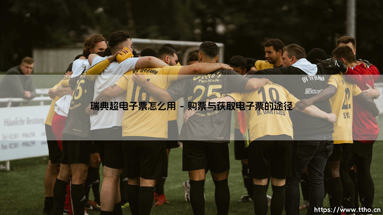 瑞典超级联赛电子票使用全攻略-第1张图片-天体号 瑞典超级联赛电子票使用全攻略-第1张图片-天体号