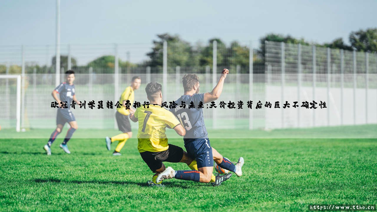 欧冠青训学员转会费排行:绿茵场上的“潜力股”天价竞逐-第3张图片-天体号 欧冠青训学员转会费排行:绿茵场上的“潜力股”天价竞逐-第3张图片-天体号