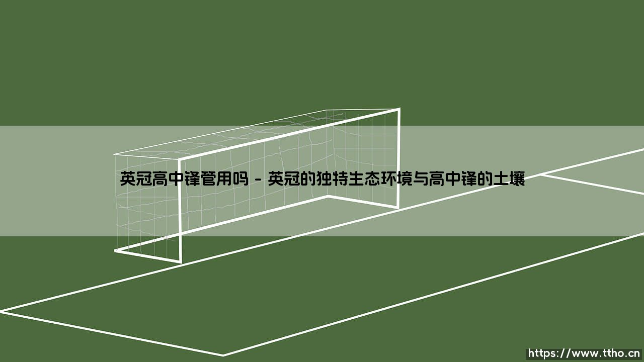 英冠高中锋管用吗：深度解析英冠赛场高中锋的战术价值与生存法则-第1张图片-天体号
