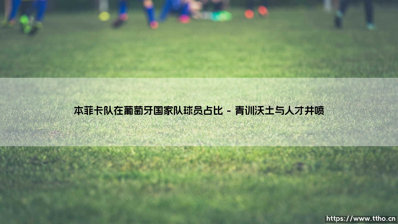 本菲卡队在葡萄牙国家队球员占比的深度解析-第1张图片-天体号 本菲卡队在葡萄牙国家队球员占比的深度解析-第1张图片-天体号