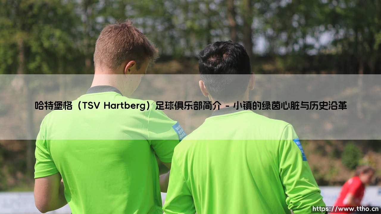 哈特堡格足球俱乐部简介：奥地利东部崛起的绿茵力量——哈特堡格（TSV Hartberg）的故事-第1张图片-天体号