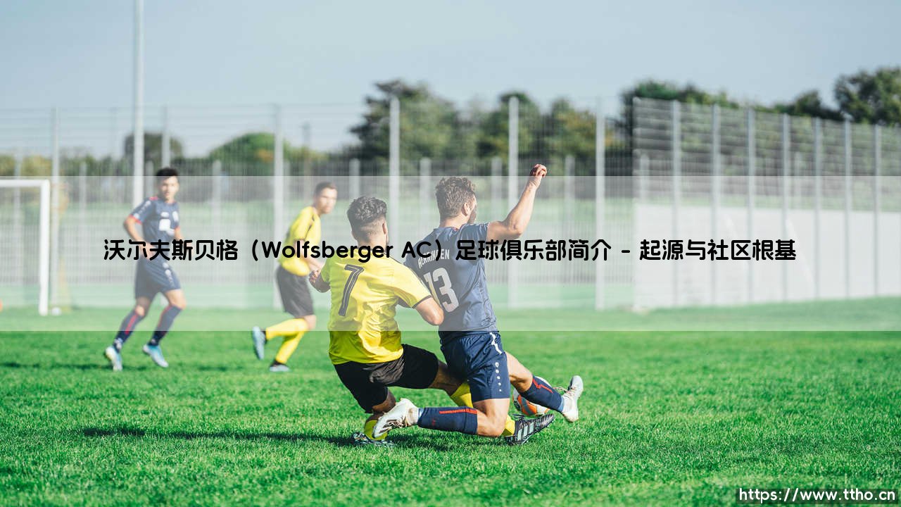 沃尔夫斯贝格(Wolfsberger AC)足球俱乐部简介(绿茵速报)-第1张图片-天体号 沃尔夫斯贝格(Wolfsberger AC)足球俱乐部简介(绿茵速报)-第1张图片-天体号