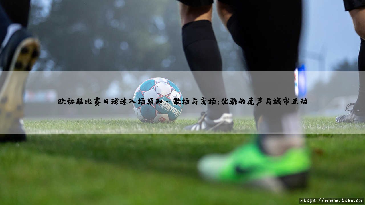 欧协联比赛日球迷入场须知:当足球热情遭遇文明规则的现代交响-第3张图片-天体号 欧协联比赛日球迷入场须知:当足球热情遭遇文明规则的现代交响-第3张图片-天体号