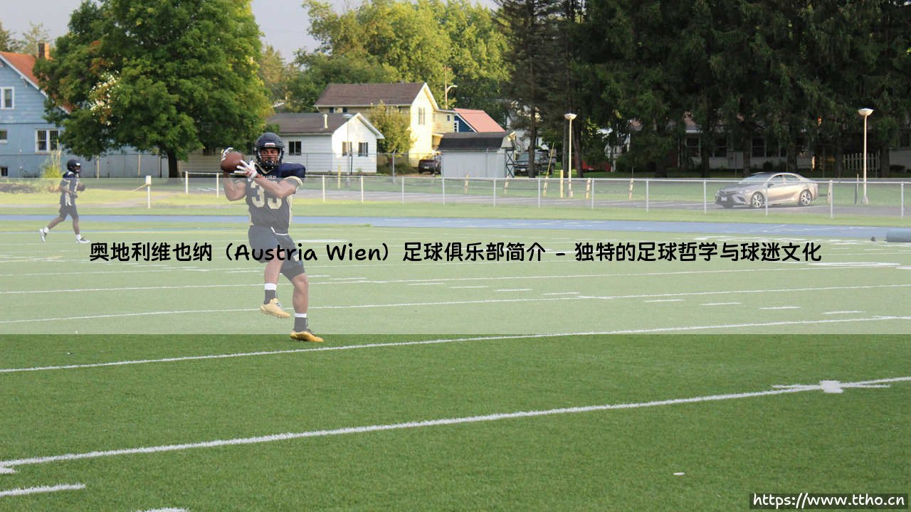 奥地利维也纳足球俱乐部：一座城市的足球心脏-第2张图片-天体号