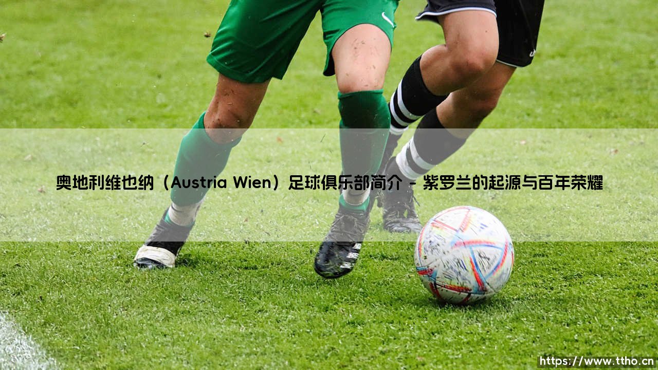 奥地利维也纳足球俱乐部：一座城市的足球心脏-第1张图片-天体号