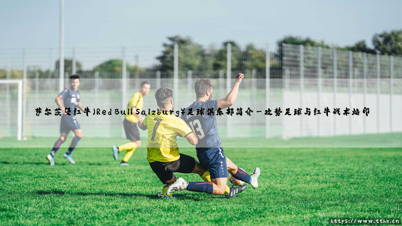 萨尔茨堡红牛是谁？这支奥地利豪门如何用「红牛模式」改写足球规则？-第3张图片-天体号