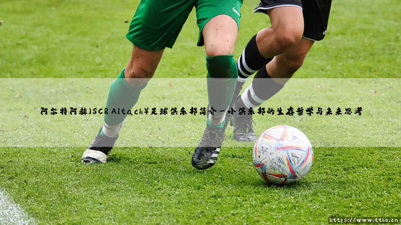 阿尔特阿赫足球俱乐部：山谷中崛起的绿茵传奇-第3张图片-天体号