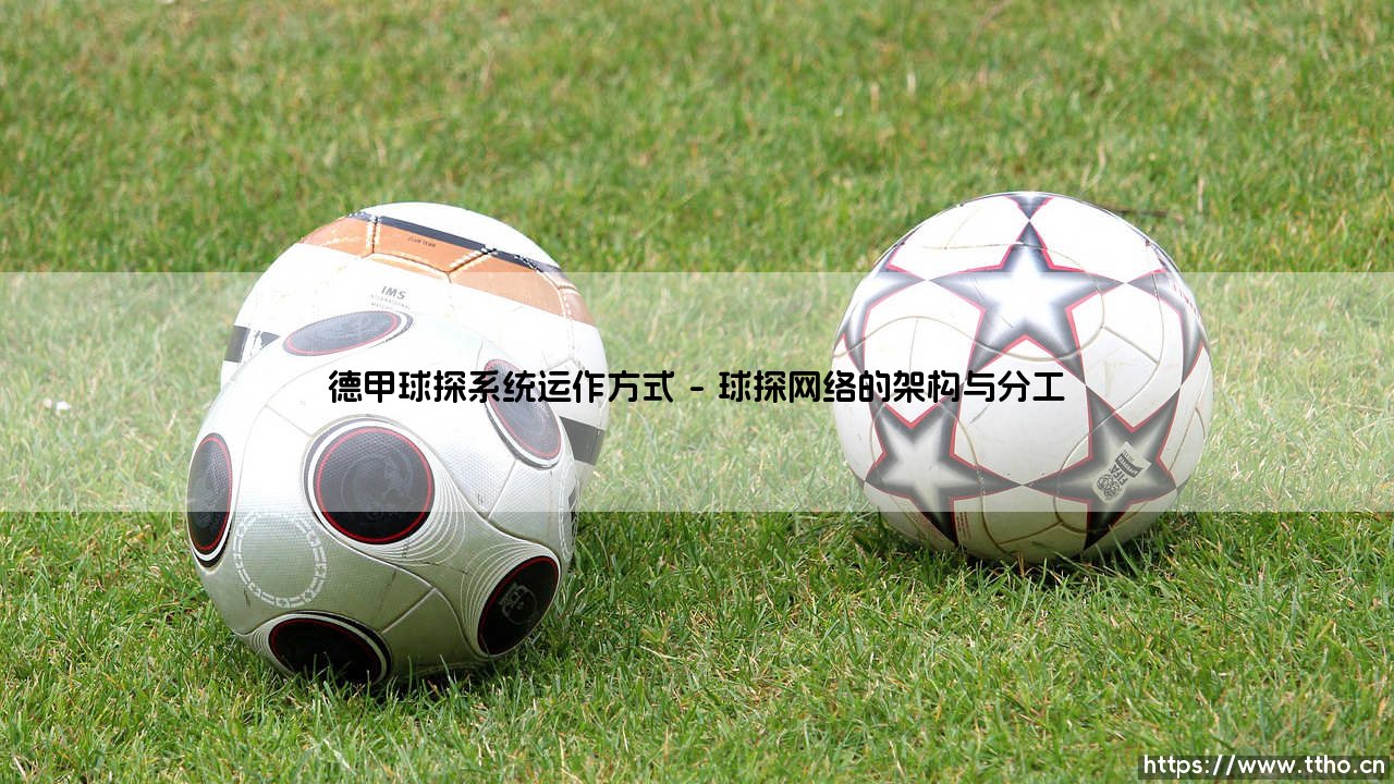 德甲球探系统如何编织一张覆盖全球的人才网络-第1张图片-天体号 德甲球探系统如何编织一张覆盖全球的人才网络-第1张图片-天体号