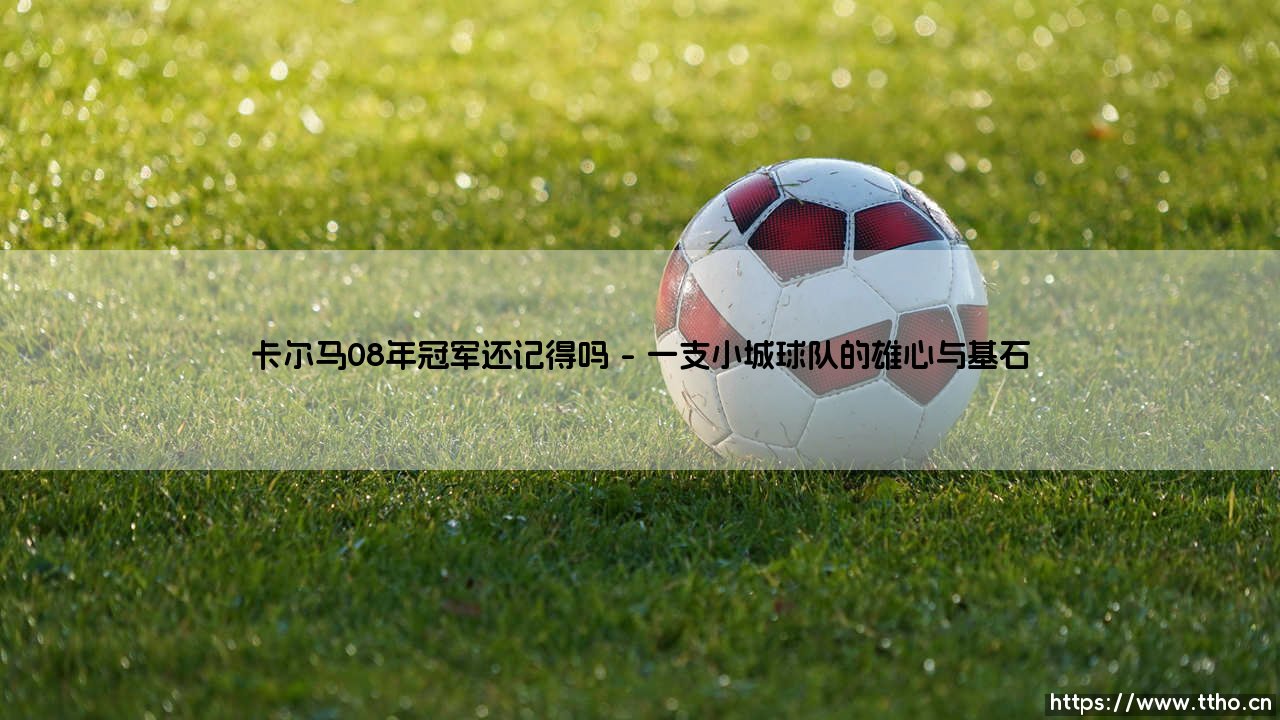还记得卡尔马08年冠军吗?——那段瑞典足球的绿色奇迹,你还怀念吗?-第1张图片-天体号 还记得卡尔马08年冠军吗?——那段瑞典足球的绿色奇迹,你还怀念吗?-第1张图片-天体号