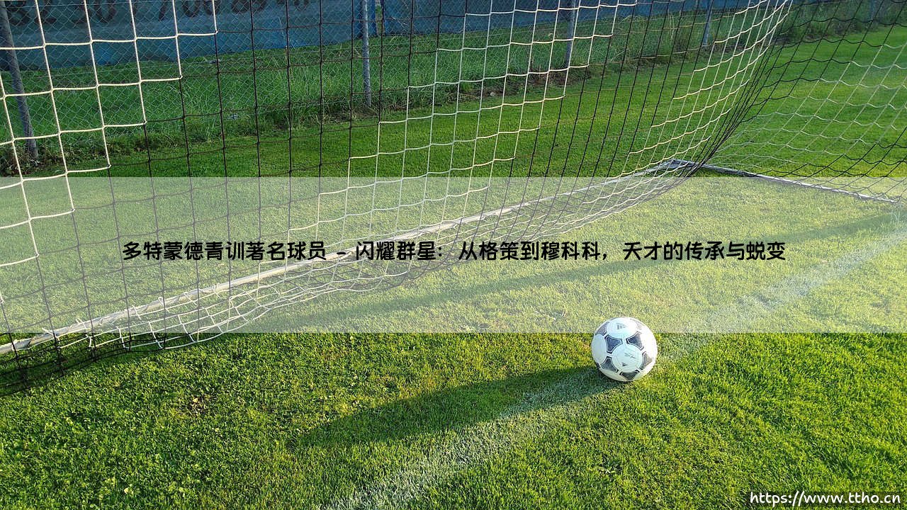 多特蒙德青训著名球员：探秘欧洲足坛的青年兵工厂与多特蒙德青训的璀璨星河-第2张图片-天体号